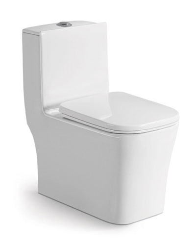 �o����������ʽ�B�w������